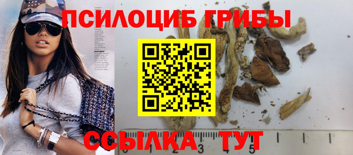 Галлюциногенные грибы GOLDEN TEACHER  Вход с VPN  Орёл 